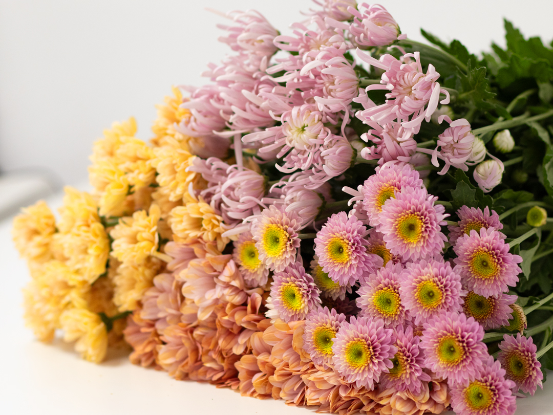 Flores y verdes